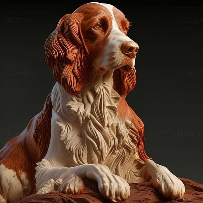 3D model Irish Red and White Setter dog (STL)